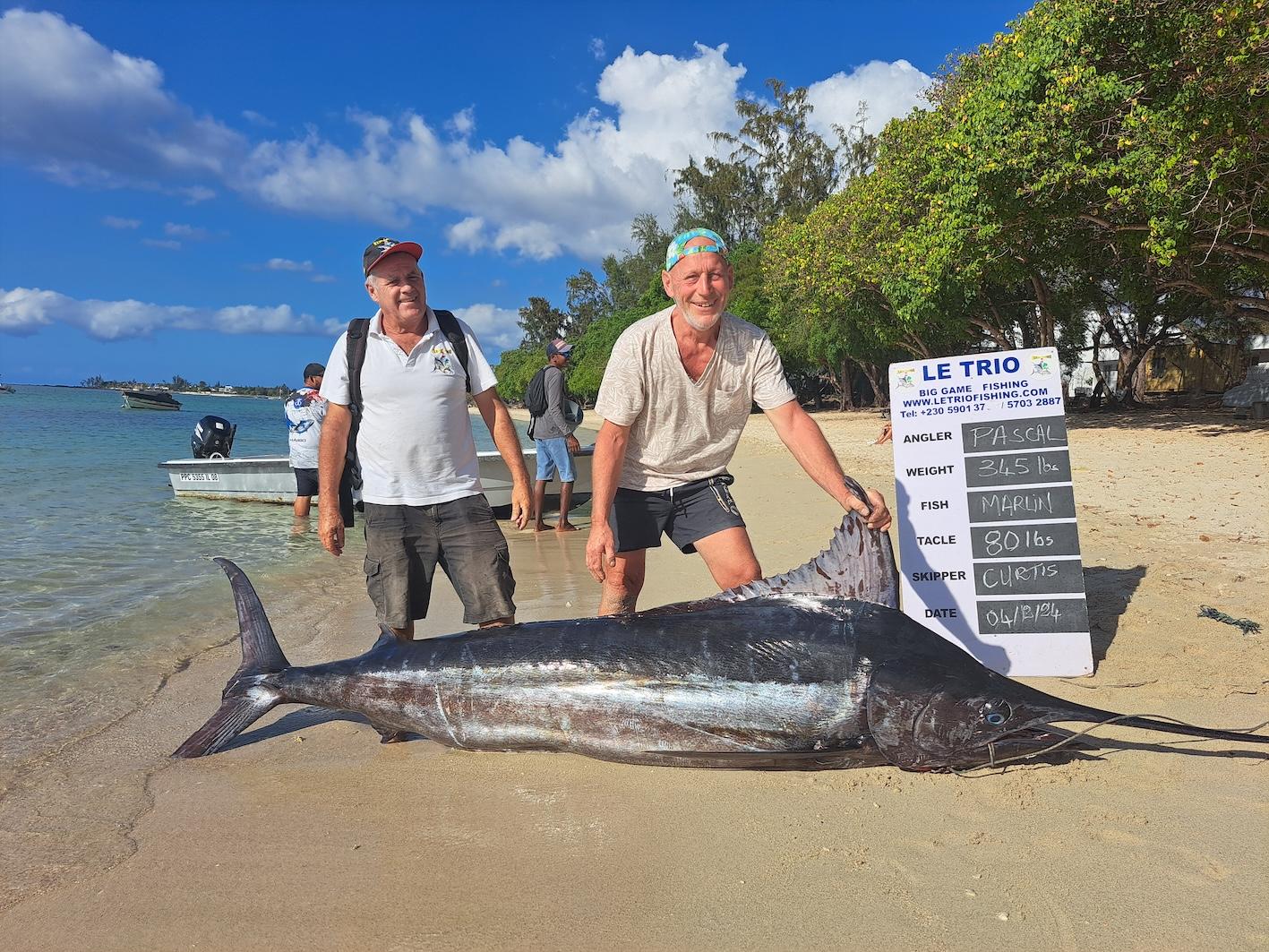 Un beau marlin bleu de 345 livres année 2024